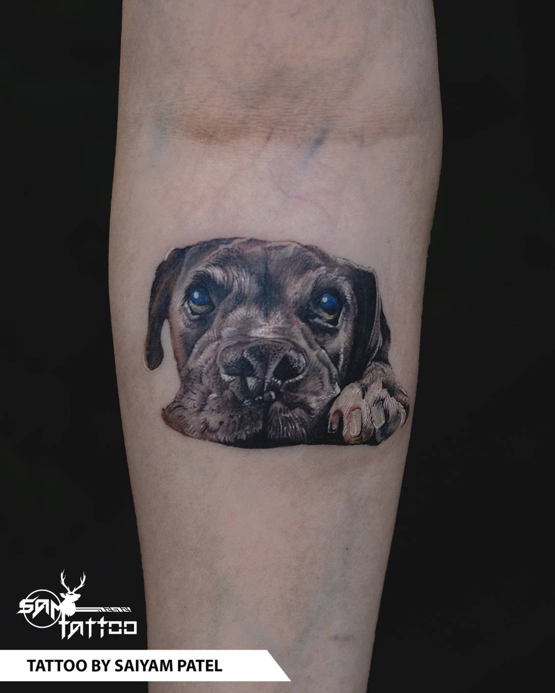 Pet Portraits - Black and Grey / Color Realism Tattoos Best NH Tattoo Artist